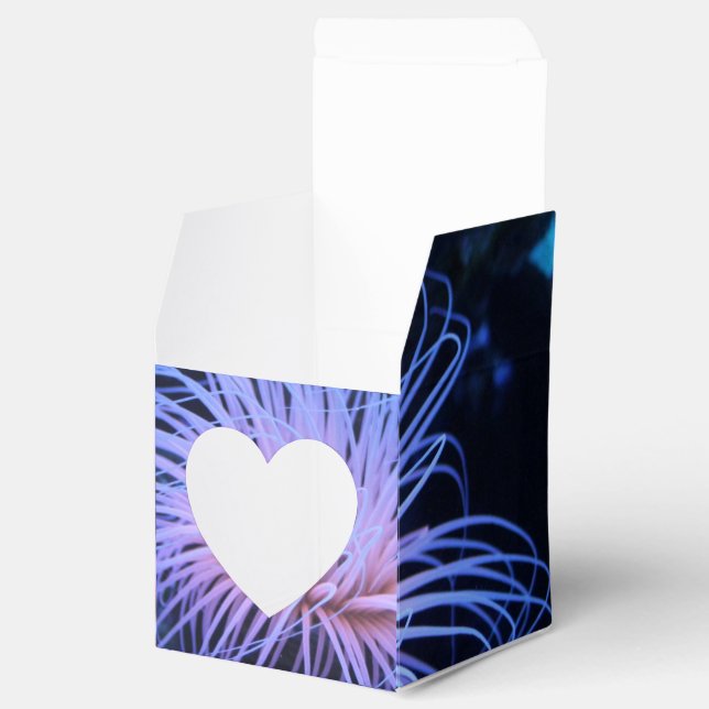 Animal  favour box (Opened)