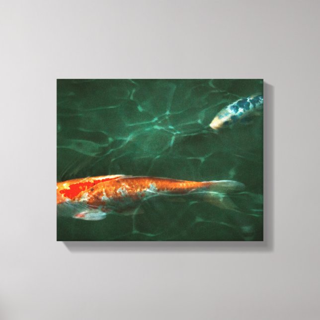 Animal - Fish - Koi - Another fish story Canvas Print (Front)