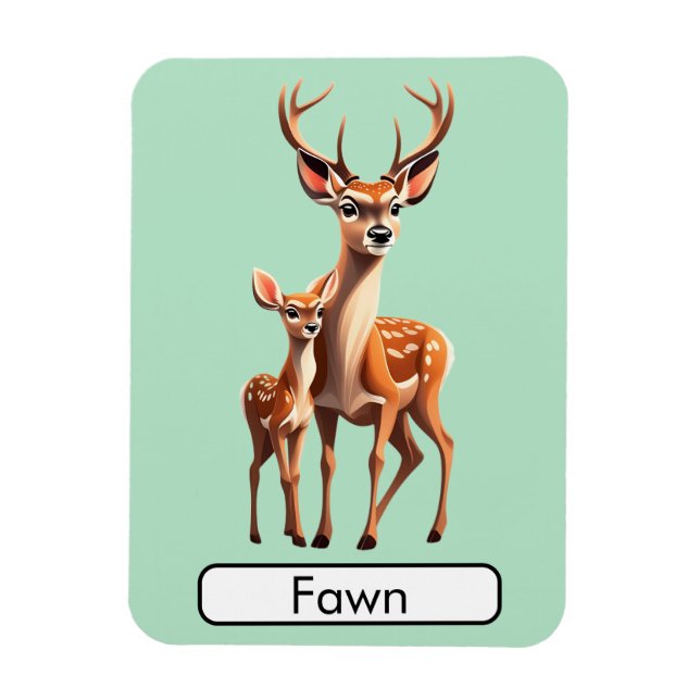 Animal Flashcard Deer/ Fawn, Flexible Photo Magnet (Vertical)
