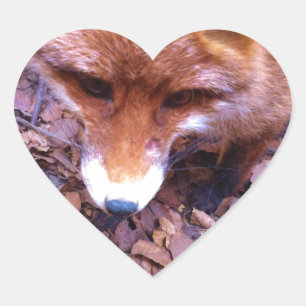 Animal Fox Forest Office Party Shower Digital Art Heart Sticker