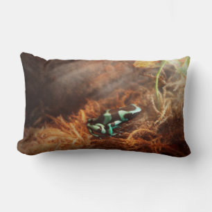 Animal - Frog - Lick the green frog Lumbar Cushion