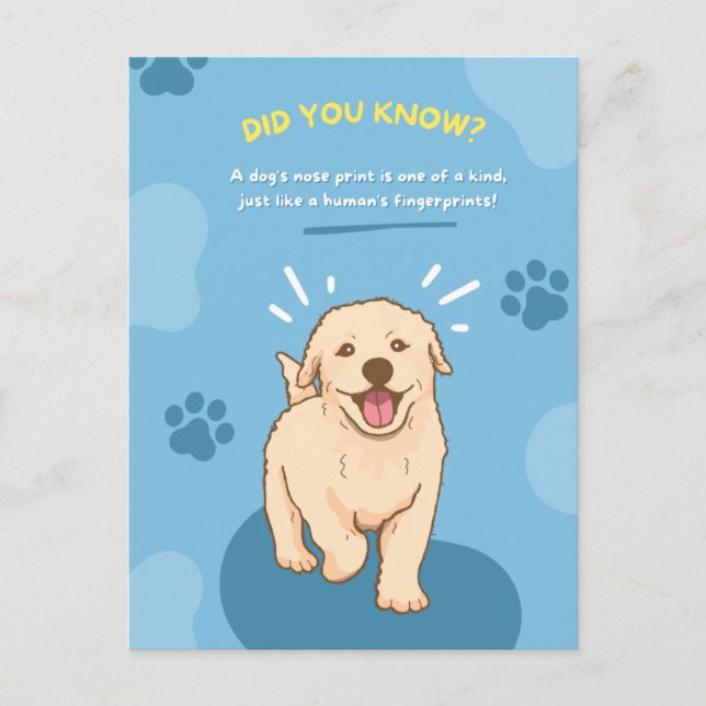  Animal Fun Fact Postcards (Front)