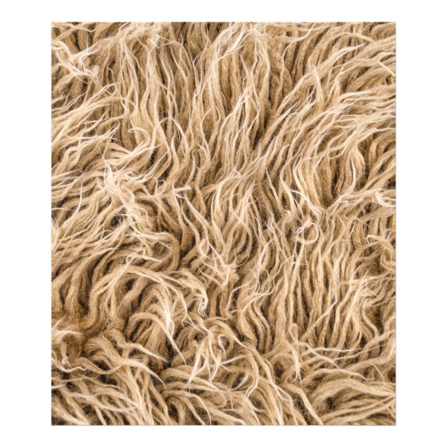 Animal fur photo print (Front)