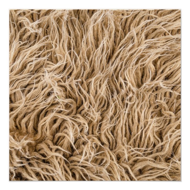 Animal fur poster (Front)