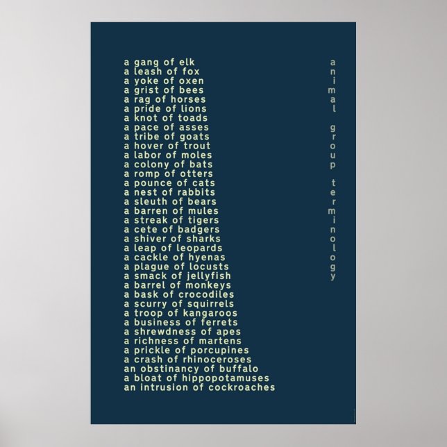 Animal Group Terminology Poster (Front)