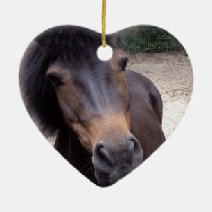 Animal, Horse, Pony Ceramic Tree Decoration