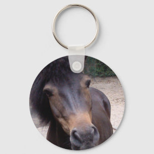 Animal, Horse, Pony Key Ring