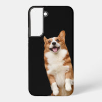 Animal Kingdom - Awesome Cute Corgi