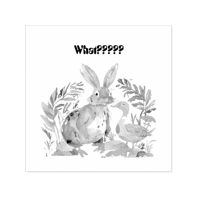 Animal Kingdom - What???? Self-inking Stamp (Design)