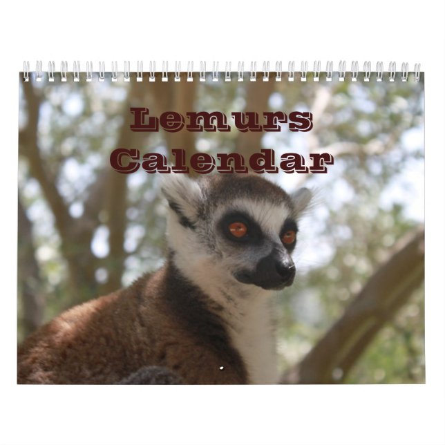 Animal Lemur Cute Nature Zoo Custom Destiny Calendar (Cover)