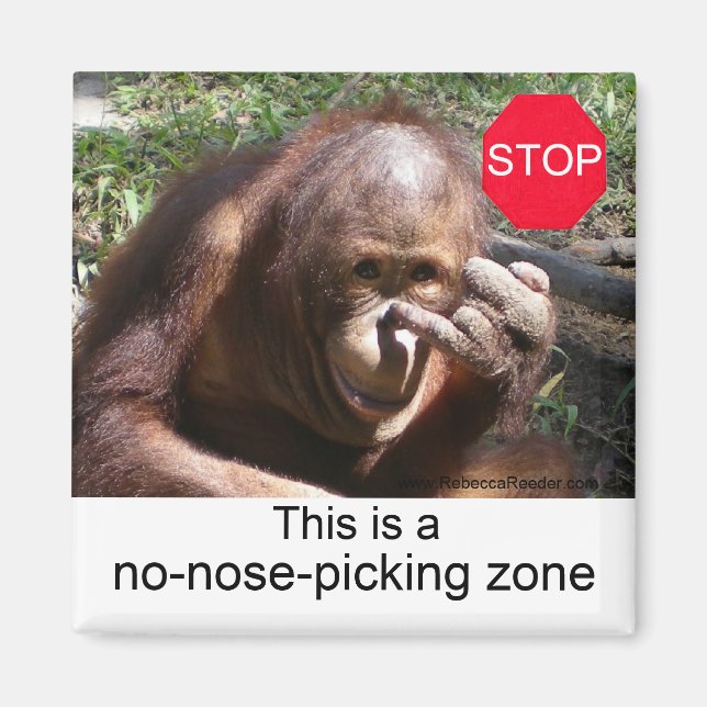 Animal Life Lessons #1 Magnet (Front)