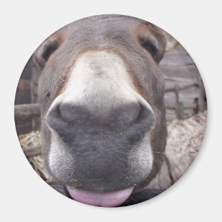 Animal Line - Burriite Arre Magnet