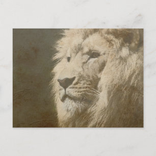 Animal Lion Head The King Modern Pop Art Template Postcard