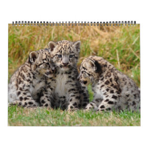 Animal Lovers 2012 Calendar