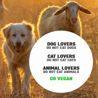 Animal Lovers Do Not Eat Animals, Vegan Activism, Classic Round Sticker