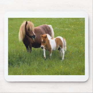 Animal Mothers and Babies (17) Mouse Pad
