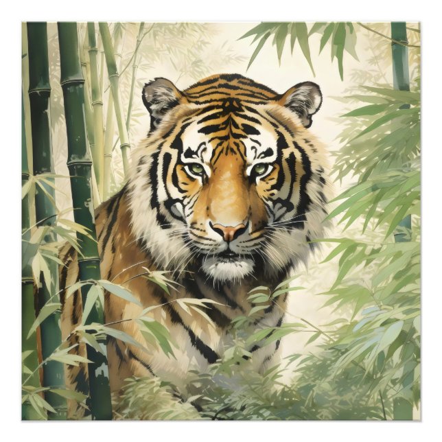 Animal Nature Tiger Bamboo Photo Print (Front)