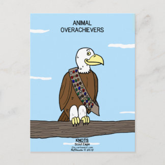 Animal Overachievers Postcard
