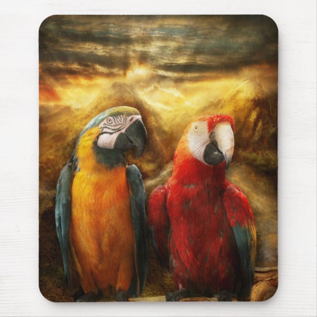 Animal - Parrot - Parrot-dise Mouse Pad (Front)