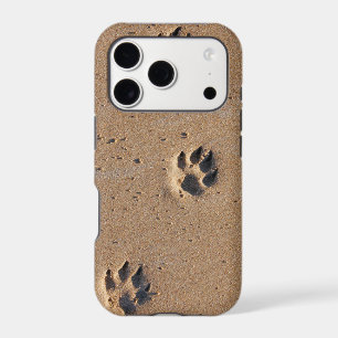 Animal paw prints in sand