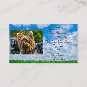 Animal Pet Sitting Cat Dog Business Office Care Card