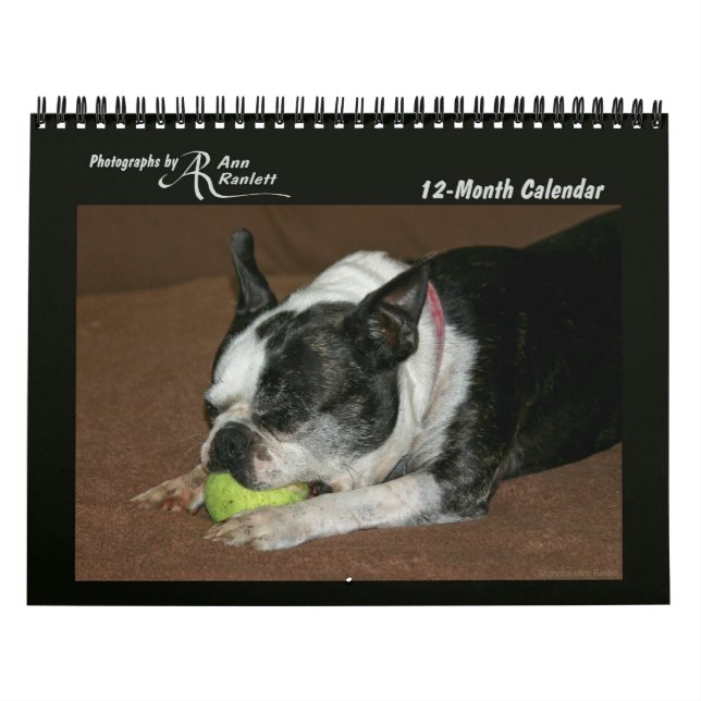 Animal Photos - 12-Month Calendar (Cover)