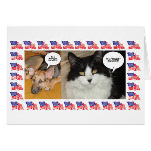 Animal Politics Election 2016