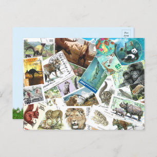 Animal Postage Stamps Postcard