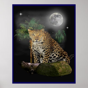 Animal posters