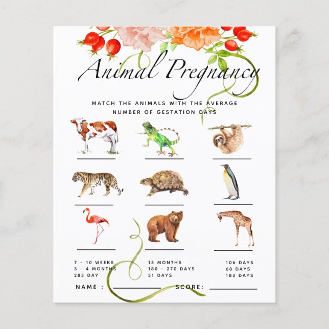 Animal Pregnancy Pumpkin Baby Shower Game (Front)