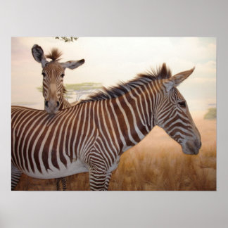 Animal Print - Africa - Zebra