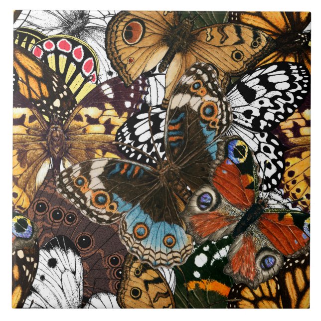 Animal print. Butterfly wings. Tile (Front)