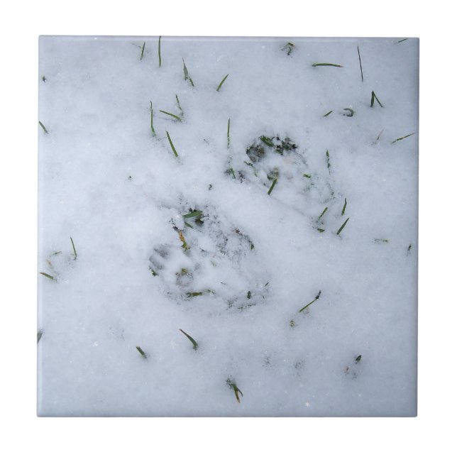 Animal Prints in the Snow Tile (Front)