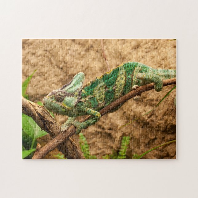 Animal Puzzles One Animal Puzzles Lizard Puzzles (Horizontal)