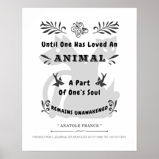 Animal Quote Poster (Front)