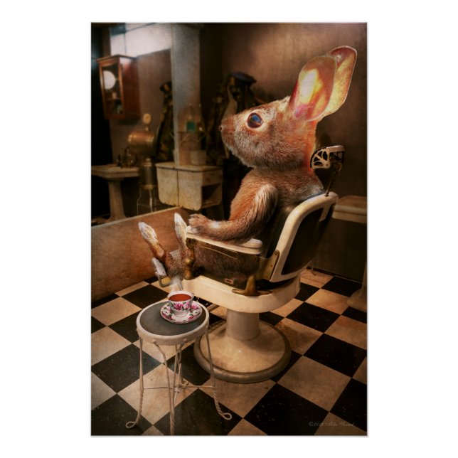 Animal - Rabbit - Hare cut Poster (Front)