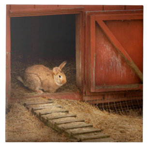 Animal - Rabbit - Making eggs for easter Tile