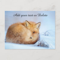 *~* Animal Red Fox Ap18 Wildlife Customise Artsy 