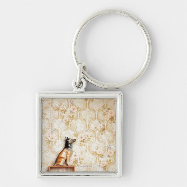 Animal representation,novelty item,shelf,knick key ring (Front)