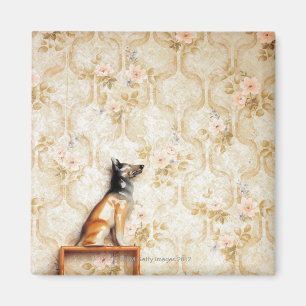 Animal representation,novelty item,shelf,knick magnet