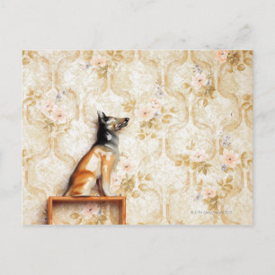 Animal representation,novelty item,shelf,knick postcard