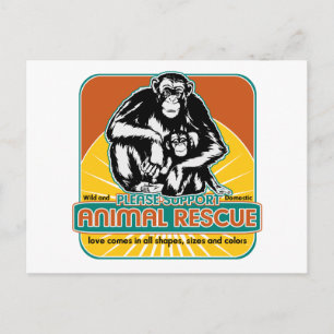 Animal Rescue Chimpanzee Postcard