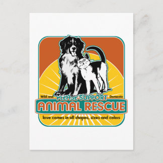 Animal Rescue Dog and Cat Postcard