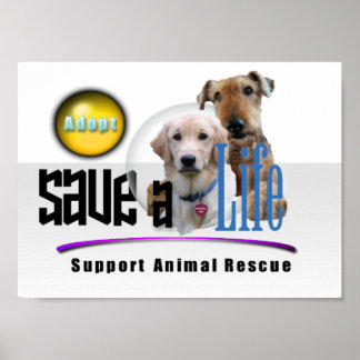 ANIMAL RESCUE SUPPORT - ADOPT! POSTER