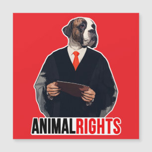Animal Rights