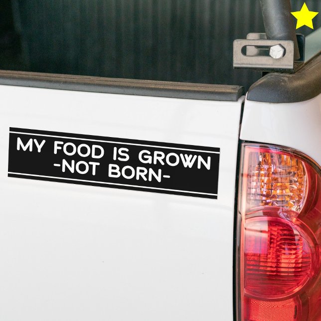Animal Rights Phrase Vegan Vegetarian Saying Bumper Sticker (Creator Uploaded)
