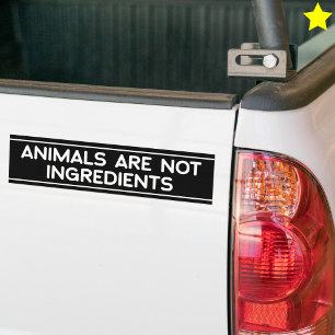 Animal Rights Phrase Vegan Vegetarian Saying Bumper Sticker