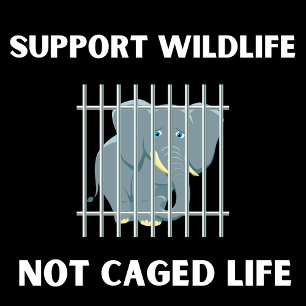 Animal Rights, Support Wildlife, Not Caged Life