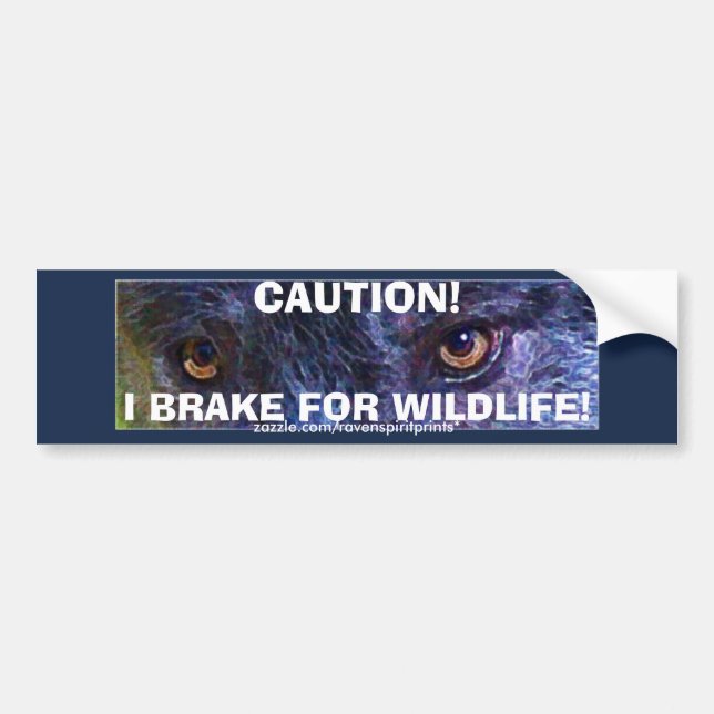ANIMAL SAFETY Bumper Sticker Collection (Front)