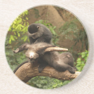 Animal Series---Monkey Looking for Fleas Coaster